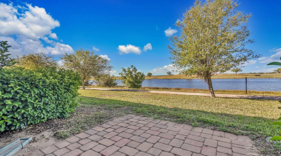 Rear Patio