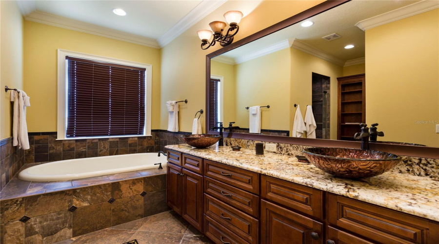 REUNION, Florida 34747, 9 Bedrooms Bedrooms, ,12 BathroomsBathrooms,Residential,For Sale,PALMILLA,0,MFRS5135966