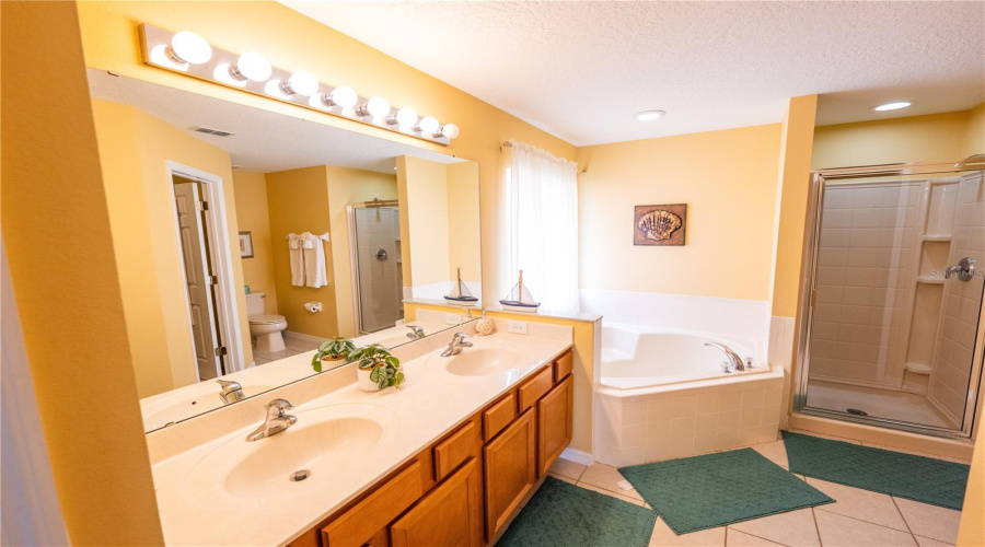 DAVENPORT, Florida 33897, 5 Bedrooms Bedrooms, ,4 BathroomsBathrooms,Residential,For Sale,SOLANA,0,MFRO6330162