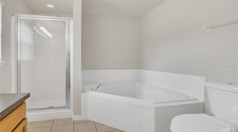 DAVENPORT, Florida 33896, 5 Bedrooms Bedrooms, ,4 BathroomsBathrooms,Residential,For Sale,SANDY RIDGE,0,MFRO6350111