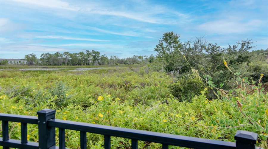 DAVENPORT, Florida 33896, 4 Bedrooms Bedrooms, ,3 BathroomsBathrooms,Residential,For Sale,DERWENT,0,MFRTB8436067