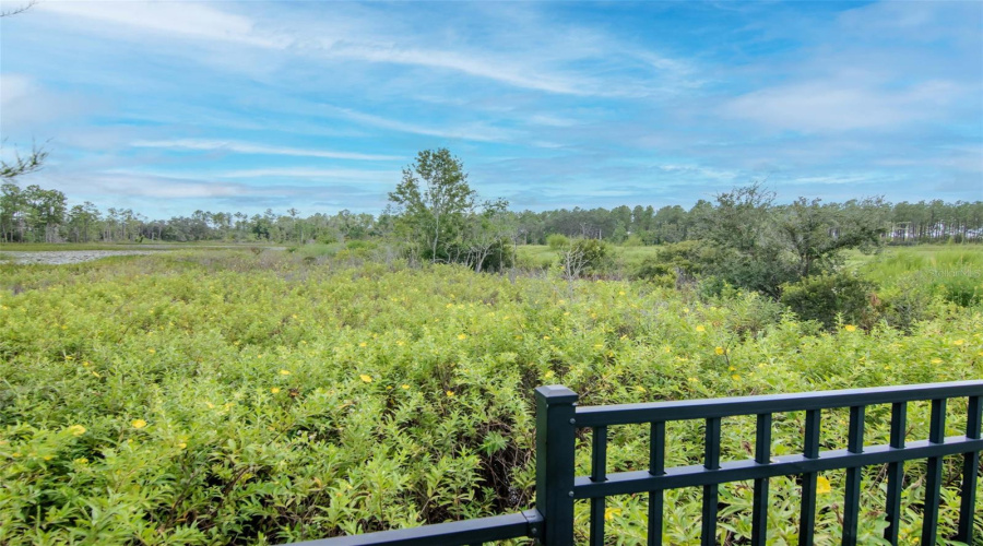 DAVENPORT, Florida 33896, 4 Bedrooms Bedrooms, ,3 BathroomsBathrooms,Residential,For Sale,DERWENT,0,MFRTB8436067