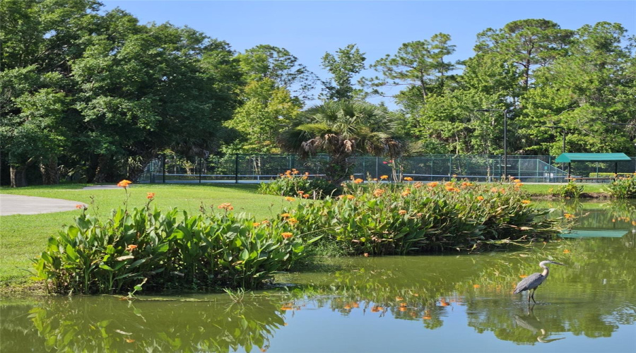 KISSIMMEE, Florida 34747, 2 Bedrooms Bedrooms, ,2 BathroomsBathrooms,Residential,For Sale,MIRASOL,0,MFRA4666295