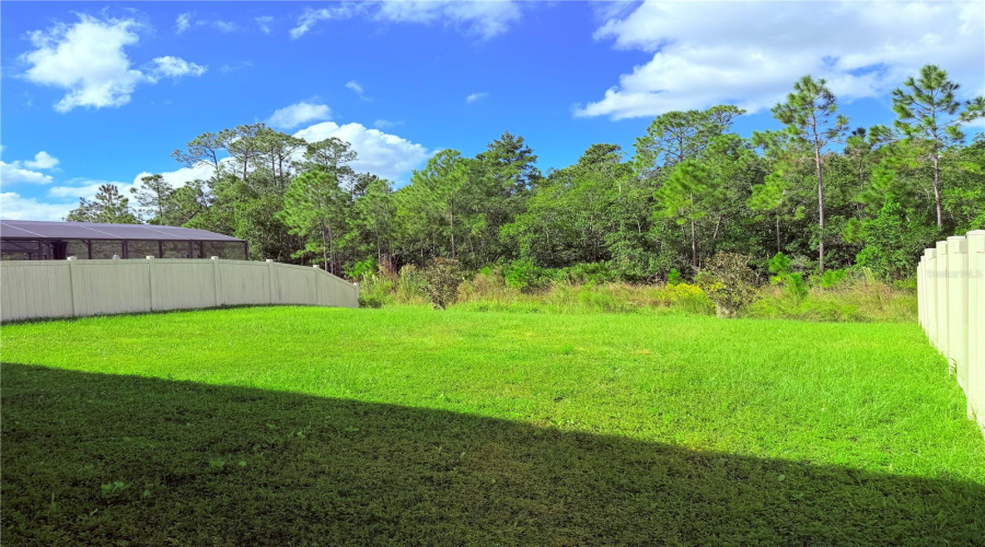 BACK YARD