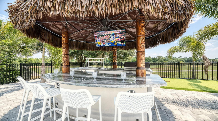 Backyard View Backyard View