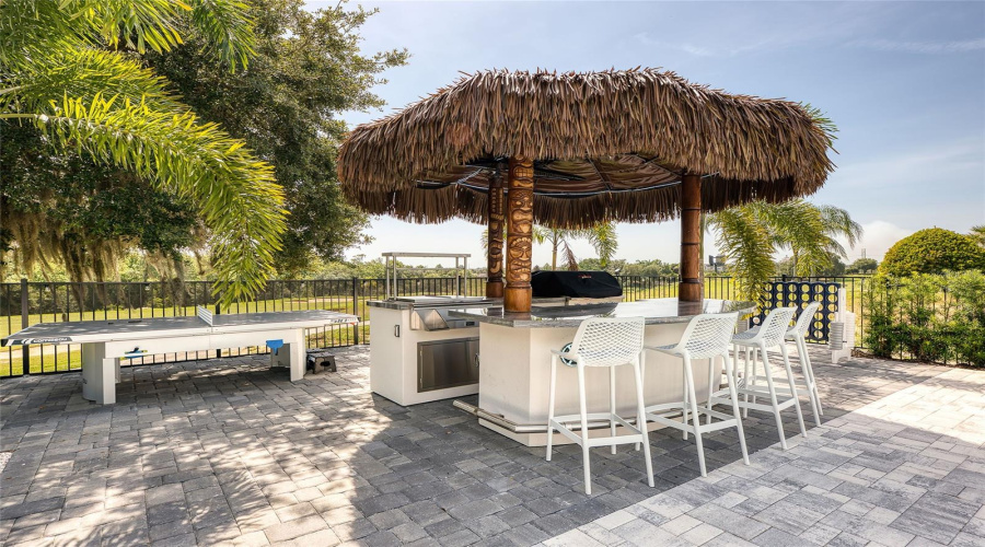 Backyard View Backyard View