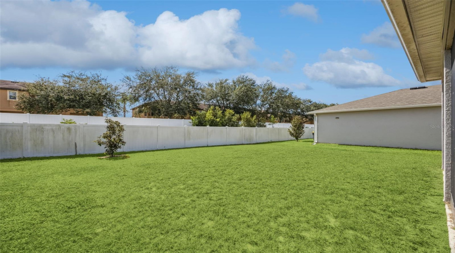 Huge Backyard