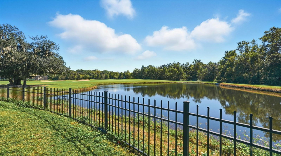 Back of the House Back of the House