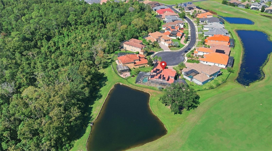 Aerial View Aerial View