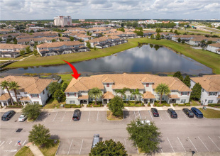 Pond view