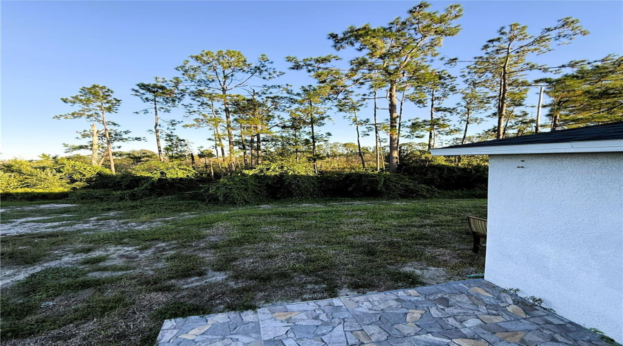 DAVENPORT, Florida 33837, 4 Bedrooms Bedrooms, ,2 BathroomsBathrooms,Residential,For Sale,PRESERVE POINTE,0,MFRS5136648 DAVENPORT, Florida 33837, 4 Bedrooms Bedrooms, ,2 BathroomsBathrooms,Residential,For Sale,PRESERVE POINTE,0,MFRS5136648