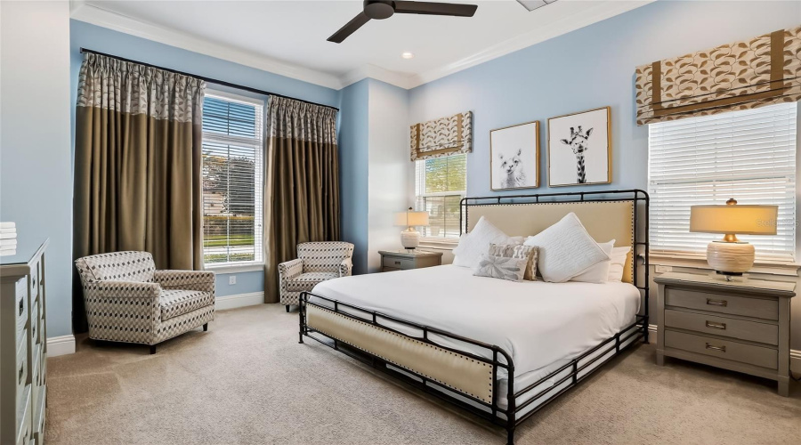 Bedroom 1 (downstairs) Bedroom 1 (downstairs)