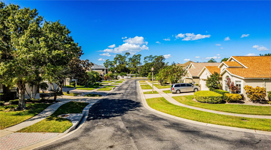 ORLANDO, Florida 32836, 3 Bedrooms Bedrooms, ,2 BathroomsBathrooms,Residential,For Sale,PECKY CYPRESS,0,MFRO6354622 ORLANDO, Florida 32836, 3 Bedrooms Bedrooms, ,2 BathroomsBathrooms,Residential,For Sale,PECKY CYPRESS,0,MFRO6354622