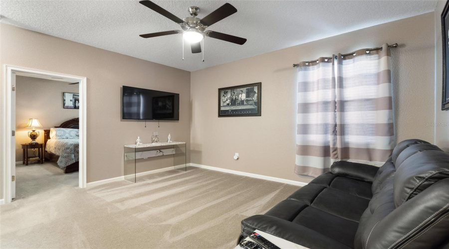 Loft Movie Room Loft Movie Room