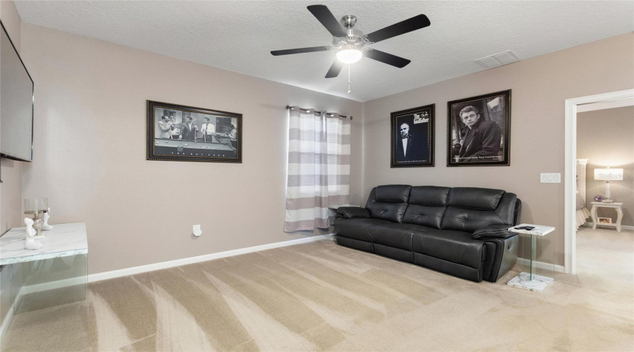 Loft Movie Room Loft Movie Room