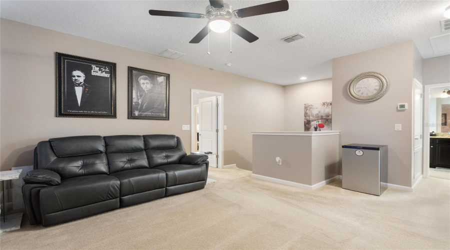 Loft Movie Room Loft Movie Room