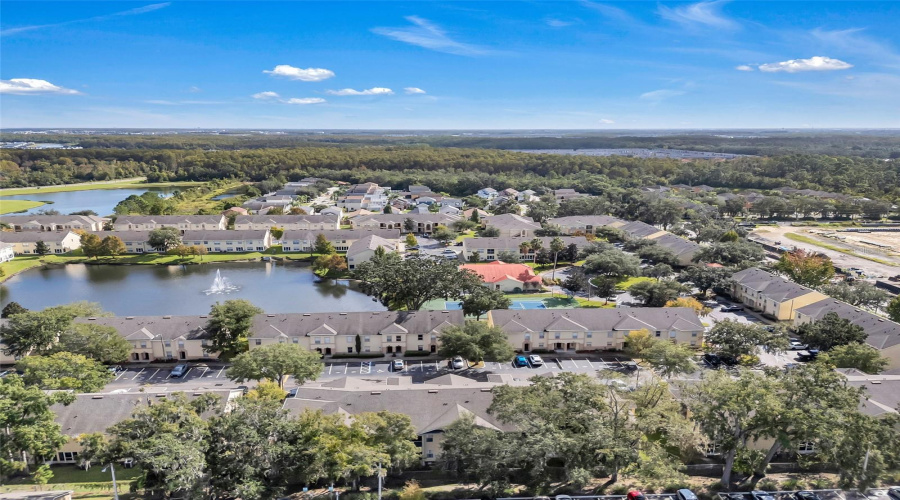 Aerial View Aerial View