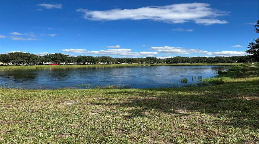 pond view outside your door looking right pond view outside your door looking right