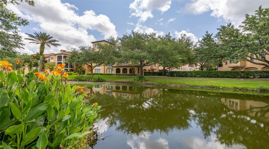 CELEBRATION, Florida 34747, 3 Bedrooms Bedrooms, ,3 BathroomsBathrooms,Residential,For Sale,MIRASOL,0,MFRS5129517 CELEBRATION, Florida 34747, 3 Bedrooms Bedrooms, ,3 BathroomsBathrooms,Residential,For Sale,MIRASOL,0,MFRS5129517