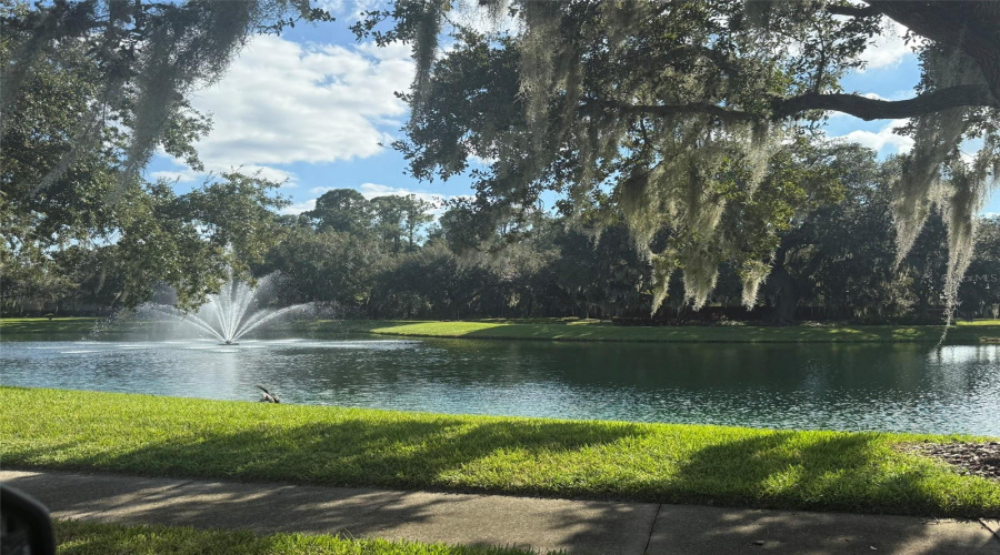 Around the community Around the community