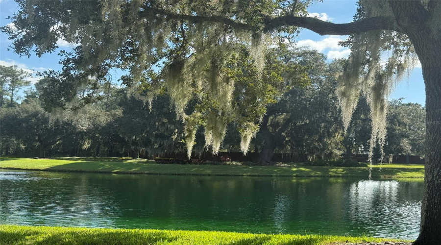 Around the community Around the community