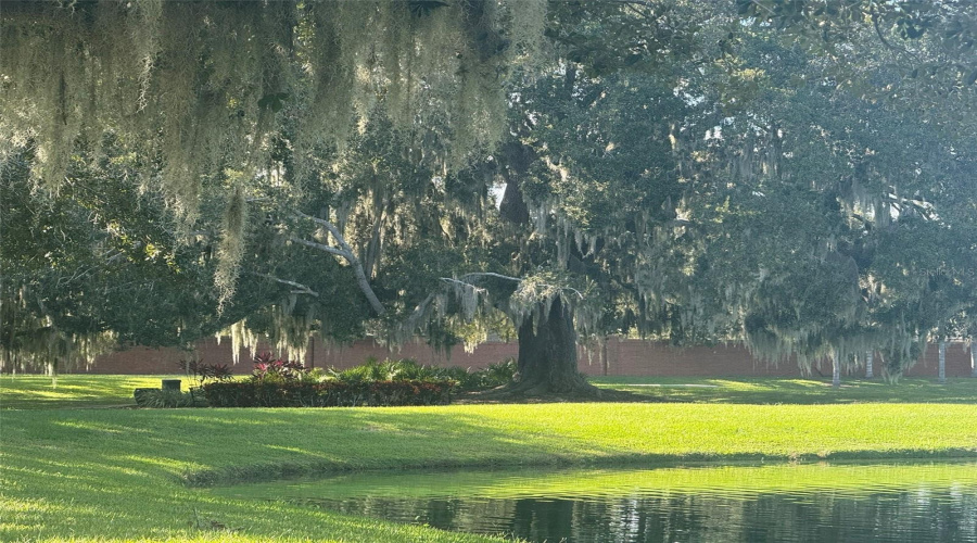 Around the community Around the community