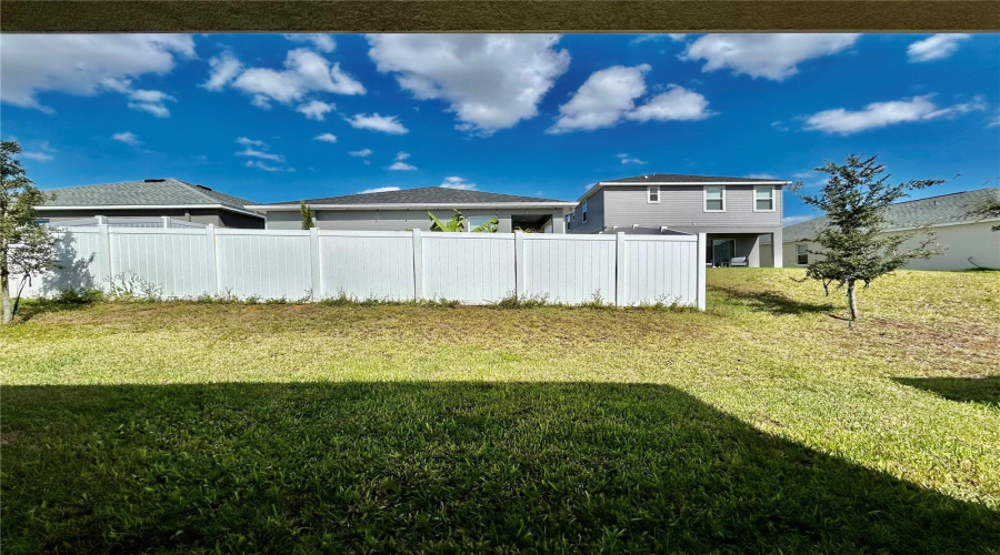 Spacious back yard Spacious back yard