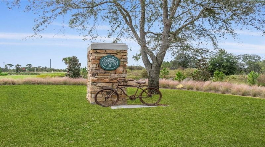 Downtown Celebration