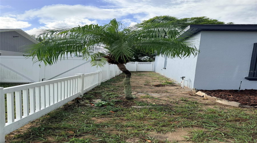 Right side Right side