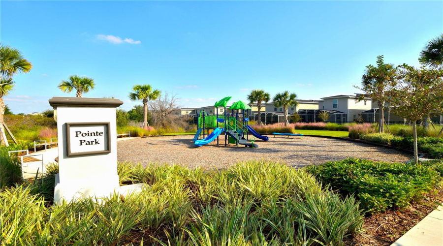 Playground Playground