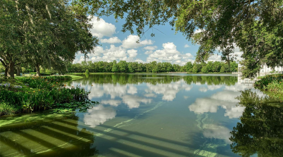 CELEBRATION, Florida 34747, 3 Bedrooms Bedrooms, ,2 BathroomsBathrooms,Residential,For Sale,WILD ELM,0,MFRS5137501