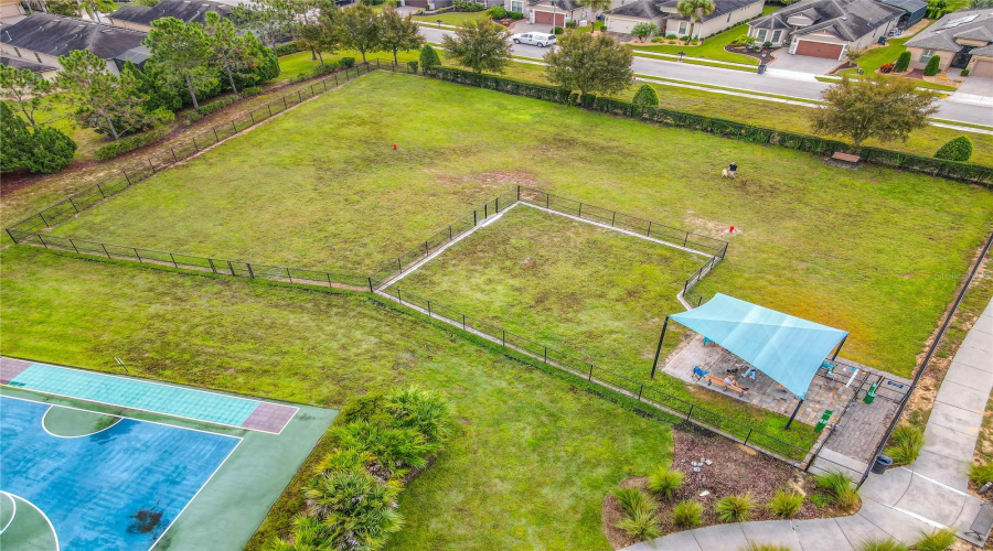 DAVENPORT, Florida 33837, 3 Bedrooms Bedrooms, ,3 BathroomsBathrooms,Residential,For Sale,TOMELLOSO,0,MFRO6336002