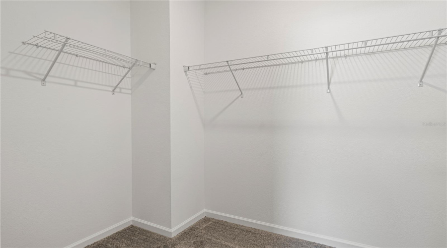 Master Walk in closet