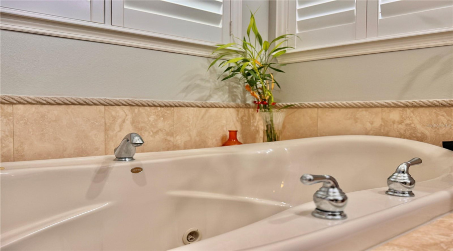 ORLANDO, Florida 32836, 5 Bedrooms Bedrooms, ,4 BathroomsBathrooms,Residential,For Sale,SAINT MARINO,0,MFRO6309292