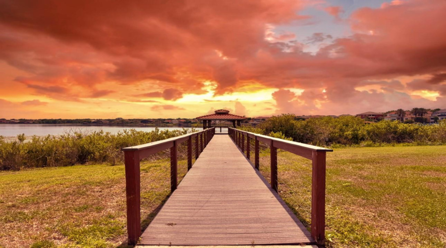 ORLANDO, Florida 32836, 5 Bedrooms Bedrooms, ,4 BathroomsBathrooms,Residential,For Sale,SAINT MARINO,0,MFRO6309292