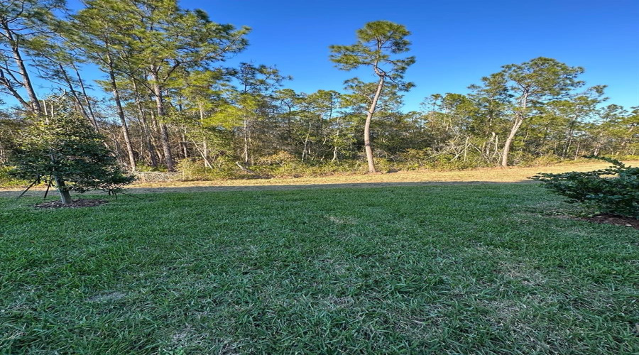 KISSIMMEE, Florida 34746, 3 Bedrooms Bedrooms, ,2 BathroomsBathrooms,Residential,For Sale,DAVENPORT CREEK,0,MFRS5136434