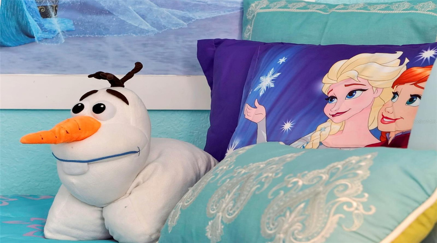 Frozen  kid bedroom, sleeps 2, 2nd floor