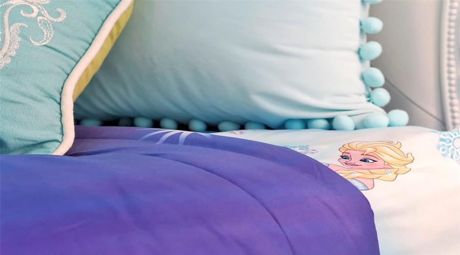 Frozen  kid bedroom, sleeps 2, 2nd floor