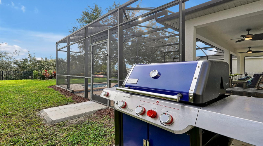 Grill outside the screen