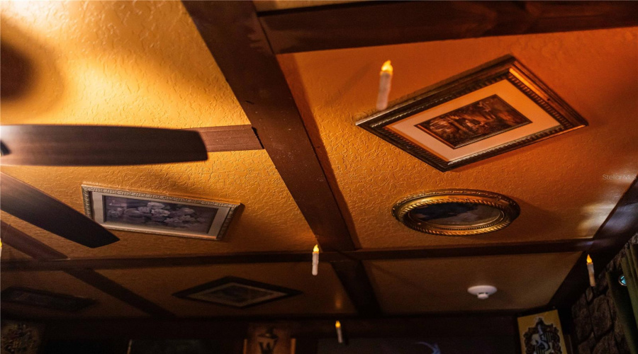 KISSIMMEE, Florida 34746, 8 Bedrooms Bedrooms, ,5 BathroomsBathrooms,Residential,For Sale,NARRATIVE,0,MFRO6358713