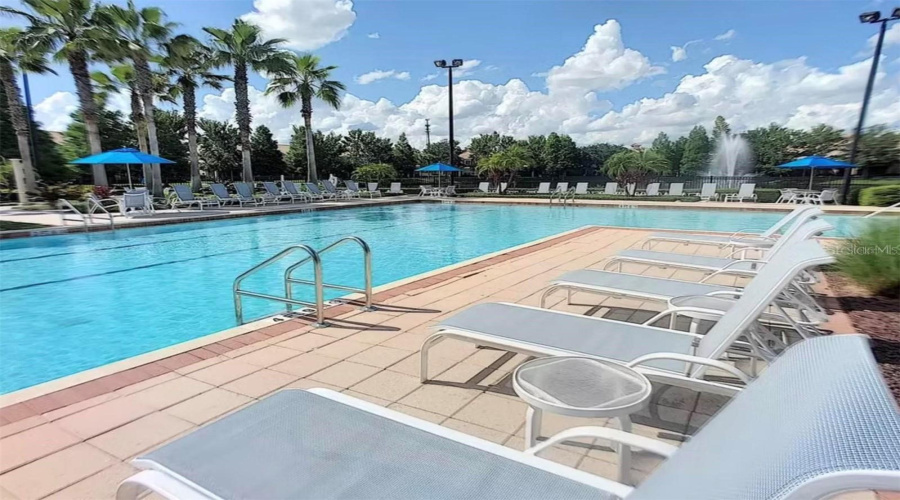 Main Pool