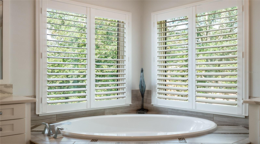 ORLANDO, Florida 32836, 6 Bedrooms Bedrooms, ,5 BathroomsBathrooms,Residential,For Sale,ROYAL ISLAND,0,MFRO6359619