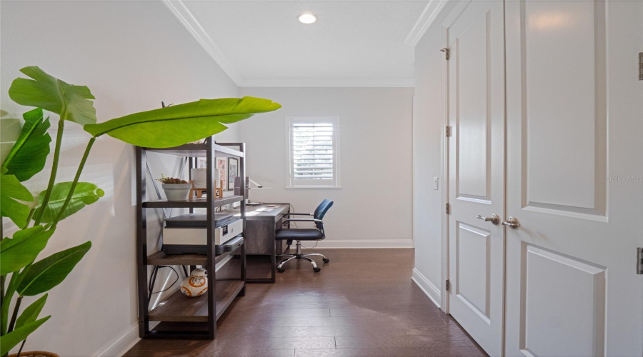 ORLANDO, Florida 32836, 6 Bedrooms Bedrooms, ,5 BathroomsBathrooms,Residential,For Sale,ROYAL ISLAND,0,MFRO6359619