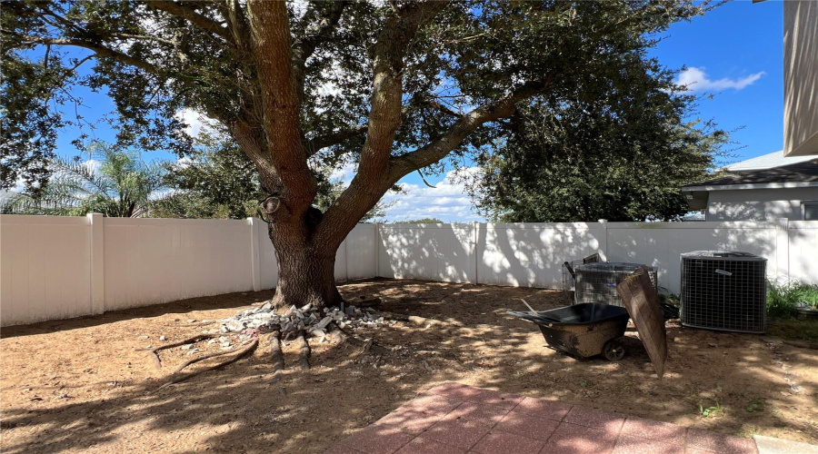 Fenced-in yard, view 1