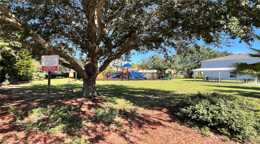 Family park & kids playground