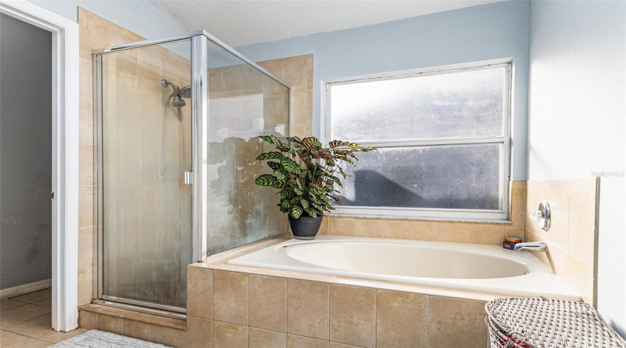 DAVENPORT, Florida 33897, 4 Bedrooms Bedrooms, ,2 BathroomsBathrooms,Residential,For Sale,SOMERSET,0,MFRTB8446901