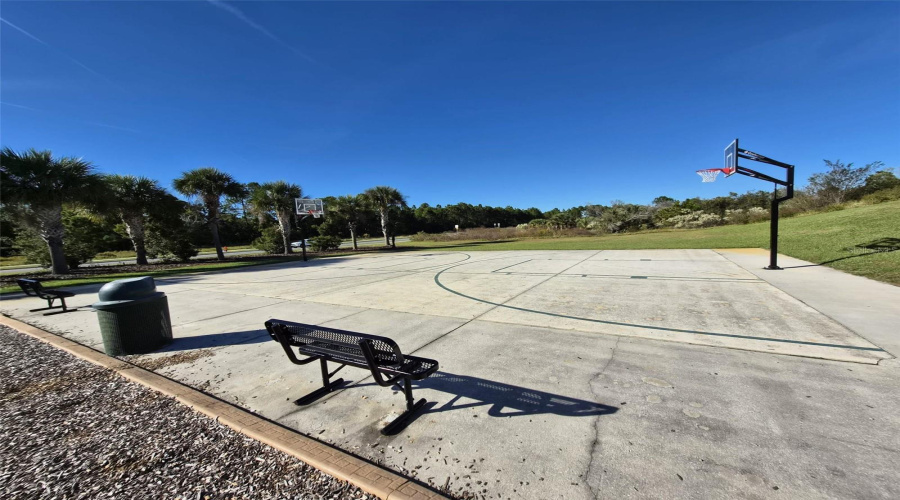 Basketball Court