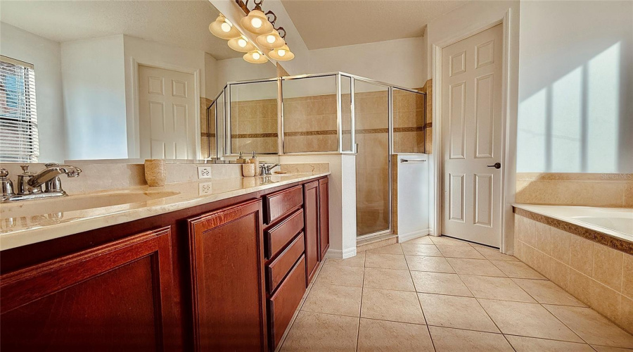 Owner's Spa Bathroom