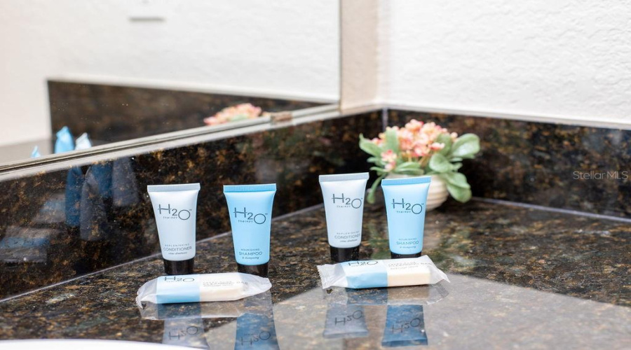 DAVENPORT, Florida 33896, 3 Bedrooms Bedrooms, ,2 BathroomsBathrooms,Residential,For Sale,TUSCAN,0,MFRTB8400102