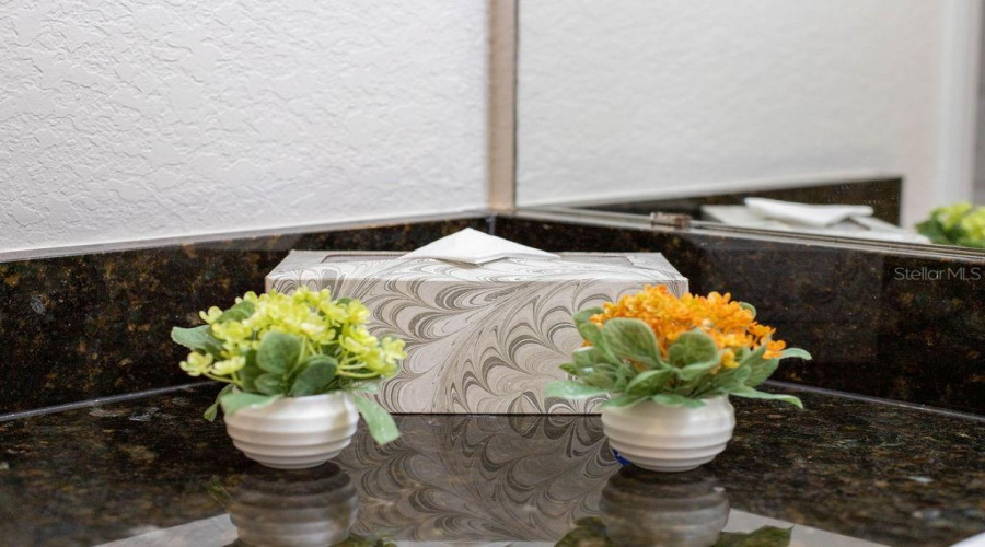 DAVENPORT, Florida 33896, 3 Bedrooms Bedrooms, ,2 BathroomsBathrooms,Residential,For Sale,TUSCAN,0,MFRTB8400102